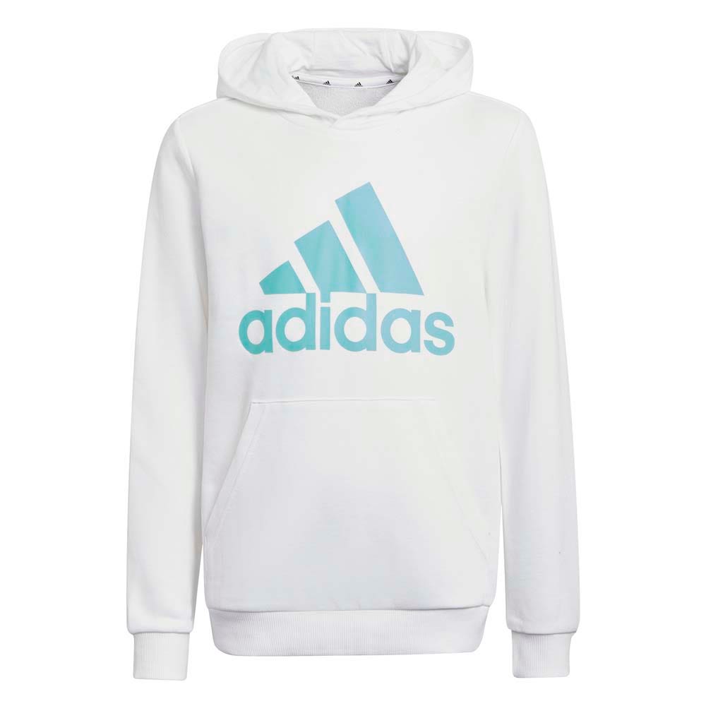 adidas Big Logo Sweater Met Capuchon Jongens