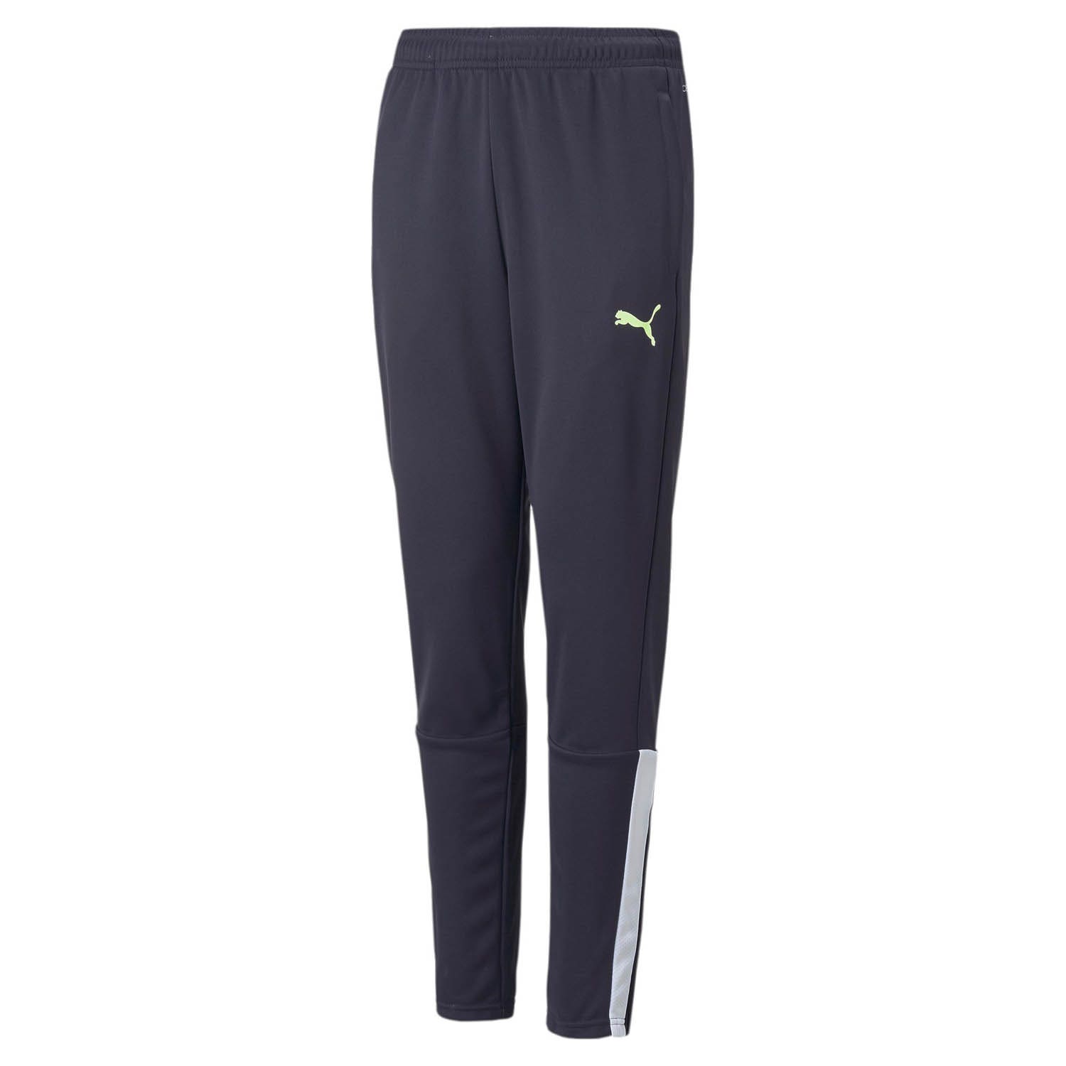 Puma Teamliga Training Pants Junior