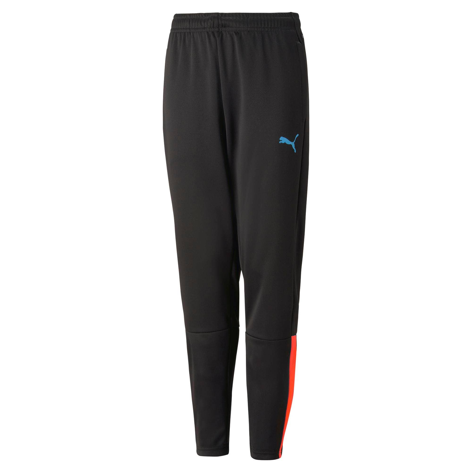 Puma Teamliga Training Pants Junior